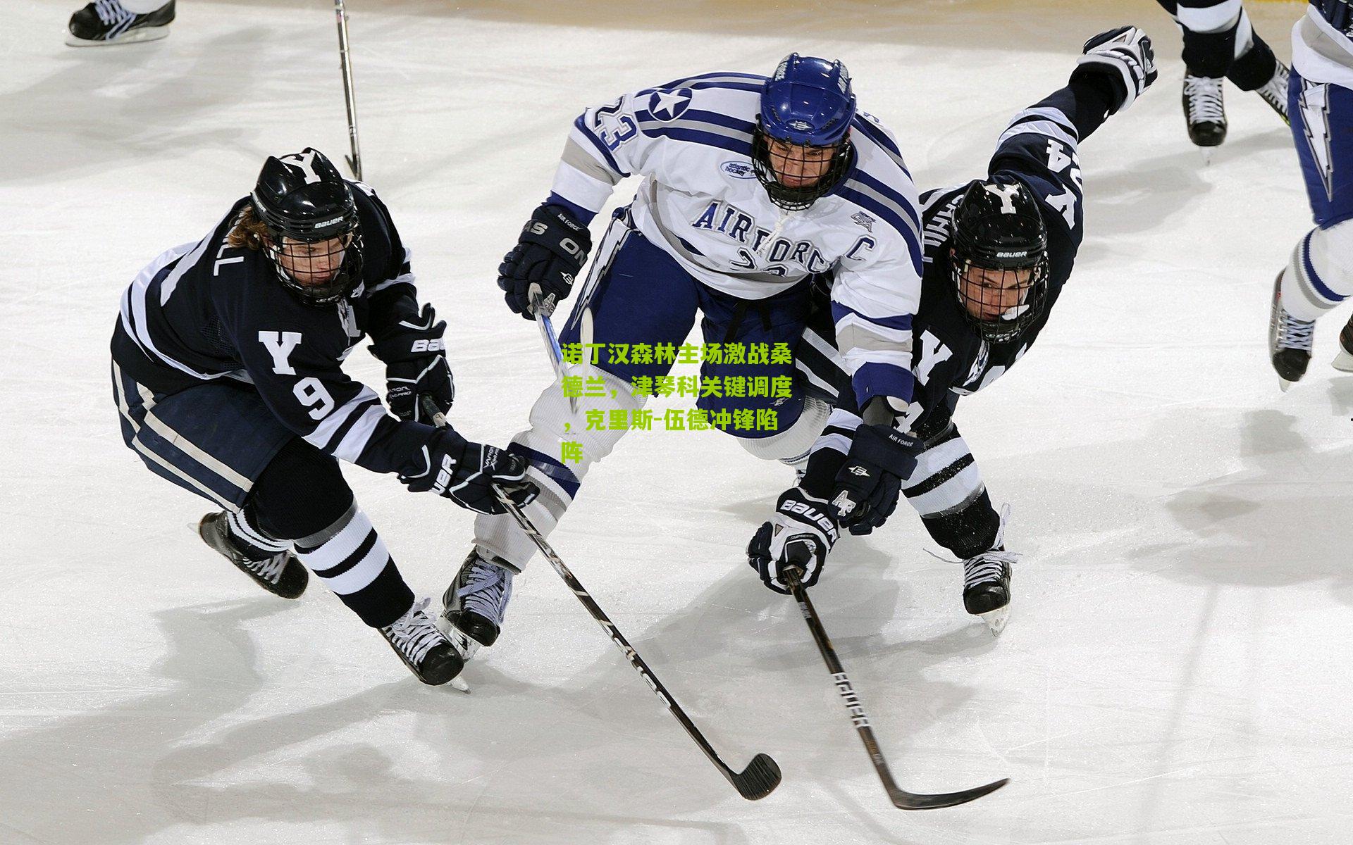 诺丁汉森林主场激战桑德兰,津琴科关键调度,克里斯-伍德冲锋陷阵